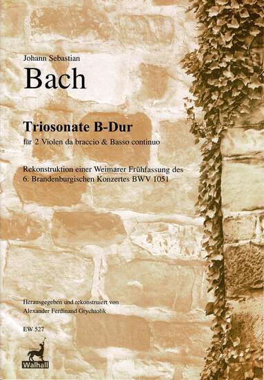 photo of Triosonata B-Dur, Reconstruction of Brandenburg Concerto 6, BWV 1051