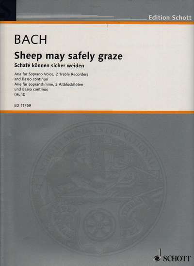 photo of Sheep may safely graze